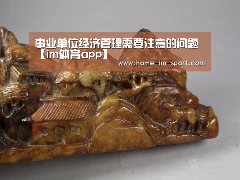 事业单位经济管理需要注意的问题【im体育app】(图1) im体育官网