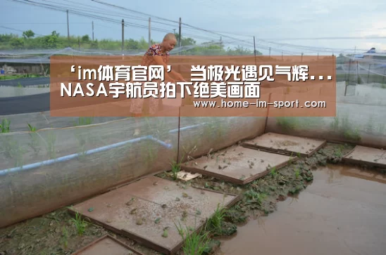 ‘im体育官网’
当极光遇见气辉...NASA宇航员拍下绝美画面(图1) im体育官网