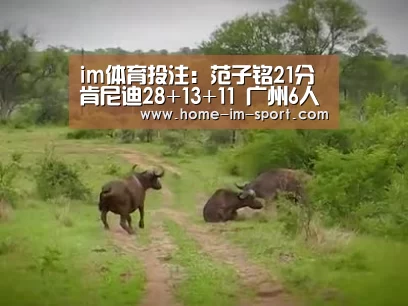 im体育投注:范子铭21分肯尼迪28+13+11 广州6人上双胜北控(图1) im体育官网