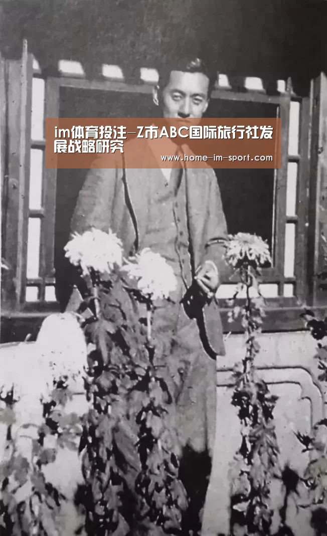 im体育投注-Z市ABC国际旅行社发展战略研究(图1) im体育app