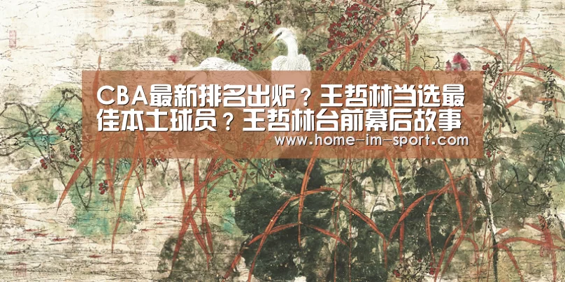 CBA最新排名出炉?王哲林当选最佳本土球员?王哲林台前幕后故事‘im体育’(图3) im体育官网