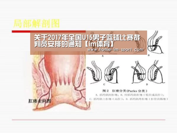 关于2017年全国U15男子篮球比赛裁判员安排的通知【im体育】(图1) im体育app