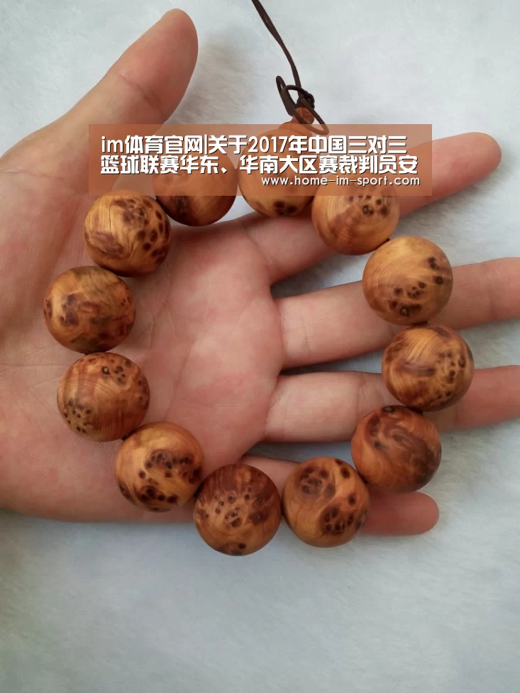 im体育官网|关于2017年中国三对三篮球联赛华东、华南大区赛裁判员安排的通知(图2) im体育