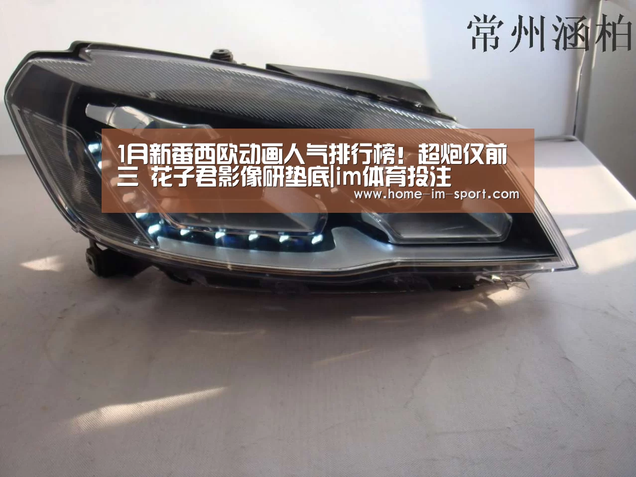 1月新番西欧动画人气排行榜!超炮仅前三 花子君影像研垫底|im体育投注(图2) im体育官网